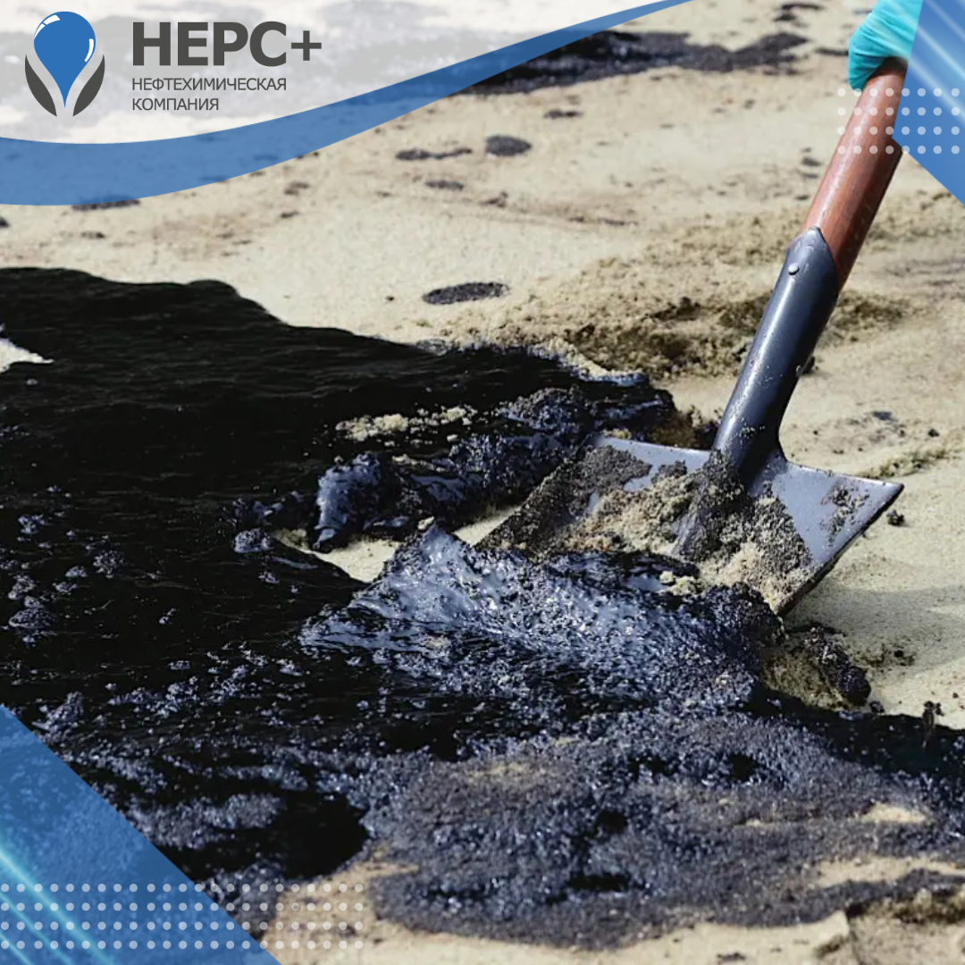 Новосибирские ученые предложили использовать бактерии для очищения воды от нефти